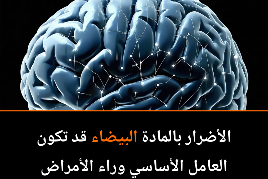 Die verborgene Macht der weißen Substanz: Schlüssel zur Bekämpfung neurodegenerativer Erkrankungen?
