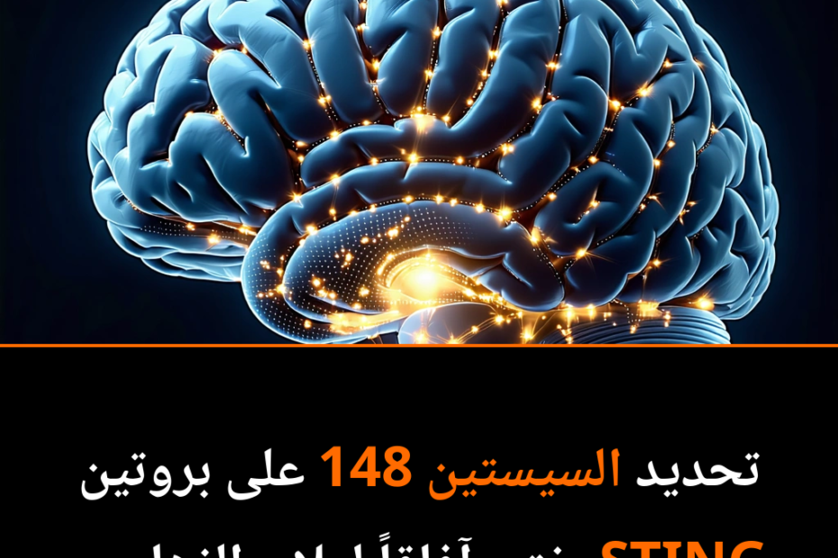 Alzheimer im Visier: Wie ein kleines Molekül den Kampf gegen das Vergessen revolutionieren könnte