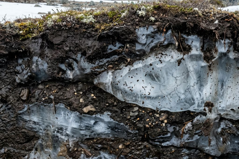 Im arktischen Permafrost schlummern uralte Baupläne für neue Medikamente.